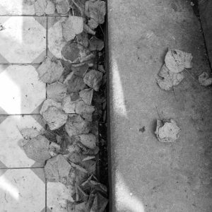 bladeren op stenen vloer