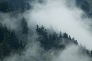 berg en mist